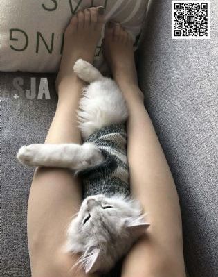 赤板栗牙医_HD神马影院在线