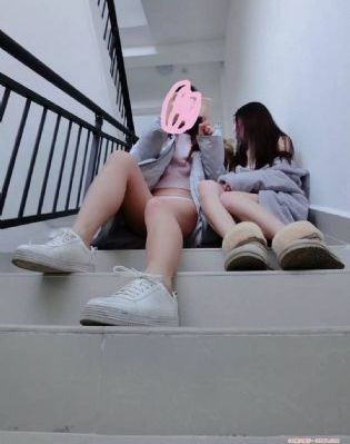 狗阵 电影_国产剧电影免费在线