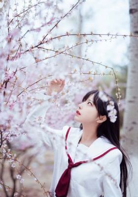姐妹的隐居 电影_高清视频在线观看